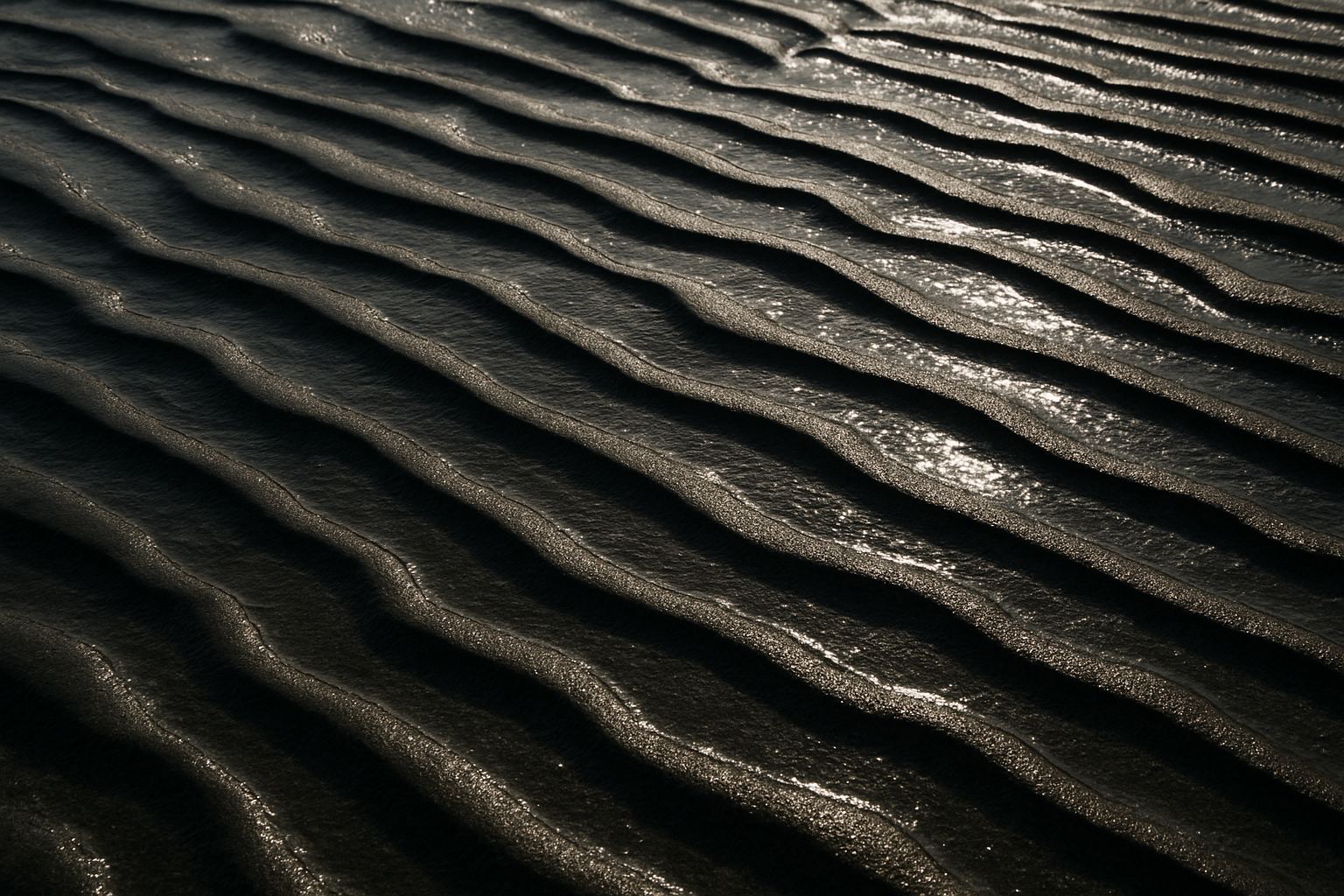 Exposed ground. Coastal surface and light, photographed as material.
